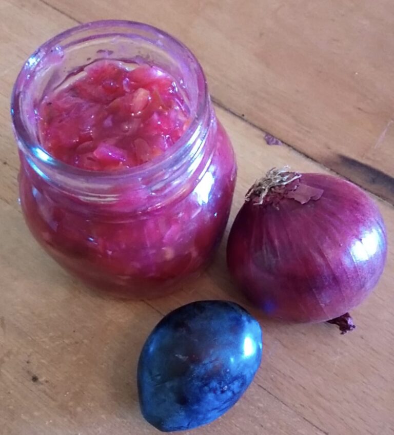 Chutney mit Pflaumen &amp; Zwiebeln - Die Pfanne von harecker.de