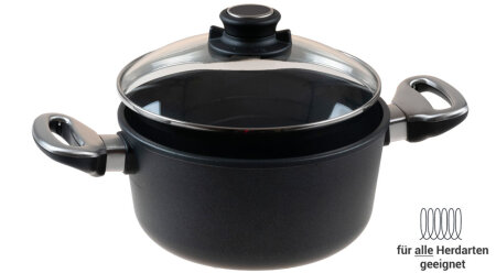 Induktion Kochtopf / Bratentopf - &Oslash; 20 cm mit Sicherheitsglasdeckel