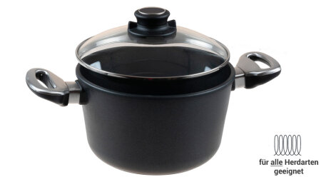 Kochtopf 20 cm &Oslash; f&uuml;r Induktionsherd mit Sicherheitsglasdeckel