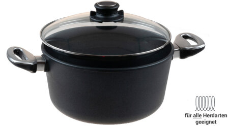 Induktion Kochtopf 24 cm &Oslash; mit Sicherheitsglasdeckel