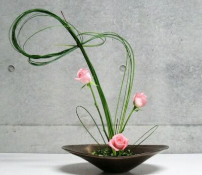 Velou Multikreativ-Stecker Set