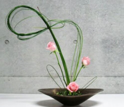 Velou Multikreativ-Stecker Set