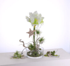 Velou Multikreativ-Stecker Set