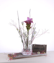 Velou Multikreativ-Stecker Set