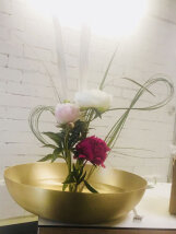 Velou Multikreativ-Stecker Set