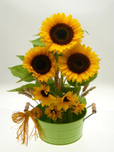 Velou Multikreativ-Stecker Set