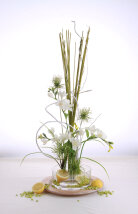 Velou Multikreativ-Stecker Set