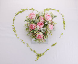 Velou Multikreativ-Stecker Set