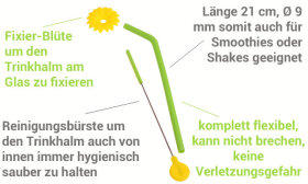 Trinkhalme 6er Set &amp; B&uuml;rste lila