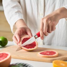 Allzweckmesser-Gem&uuml;semesser S limette